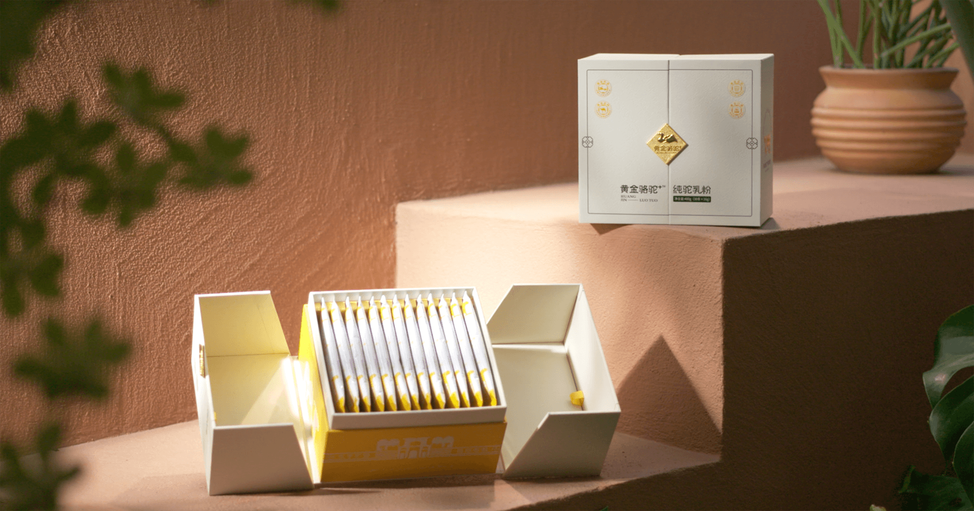 定位小众高端乳粉，jinnianhui今年会推出驼奶品牌“黄金骆驼+”，角逐乳品新市场！